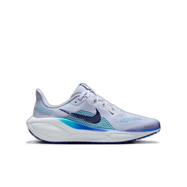 Nike Air Zoom Pegasus 41
