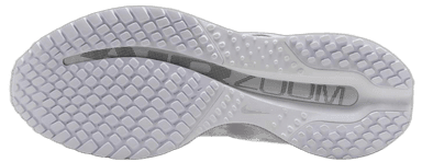 Nike ACG Pegasus