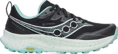 Saucony Polkujuoksukengät Peregrine 16 GORE-TEX