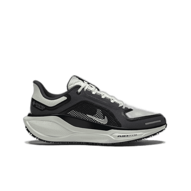 Nike Pegasus 41 GORE-TEX