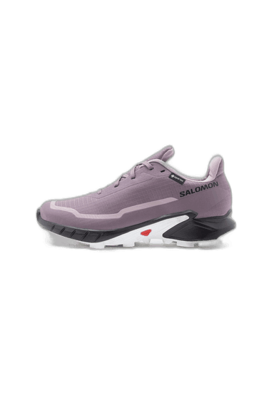 Salomon ALPHACROSS 5 GORE-TEX