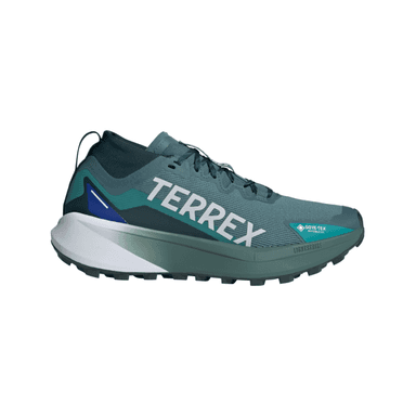 Adidas Terrex Agravic GORE-TEX Men - pretea ftwwht selubl