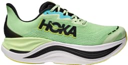 lmth luna moth black