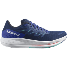 estate blue dazzling blue mint leaf l41589900