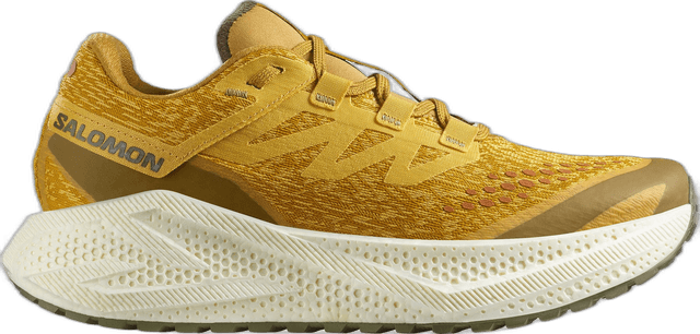 Salomon Aero Glide 3 GRVL