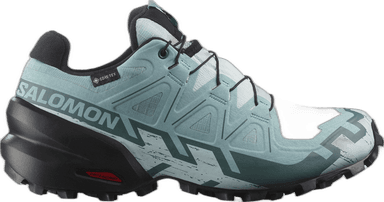 Salomon Speedcross 6 GORE-TEX - aquifer black yucca
