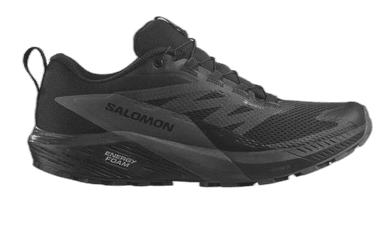 Salomon Sense Ride 5 GORE-TEX - black magnet black