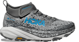asteroid cosmic grey