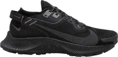 Nike Pegasus Trail 2 GORE-TEX - black iron grey-metallic dark grey