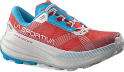 hibiscus malibu blue