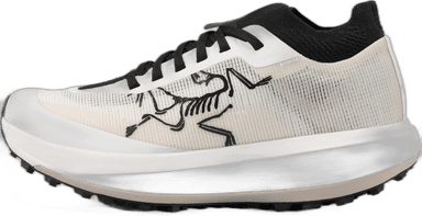 Arc'teryx Sylan Pro - arctic silk