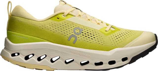 On Cloudsurfer Trail 2