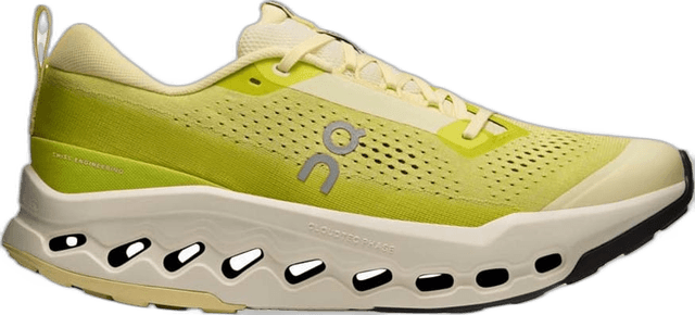 On Cloudsurfer Trail 2