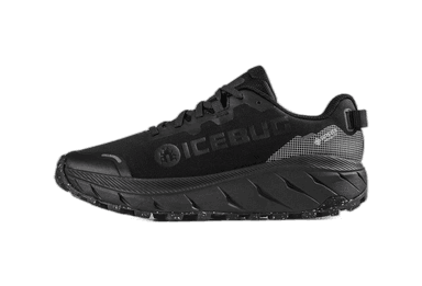 Icebug Arcus 2 RB9X Gore-Tex - black