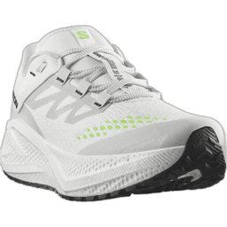 white ftw silver green gecko