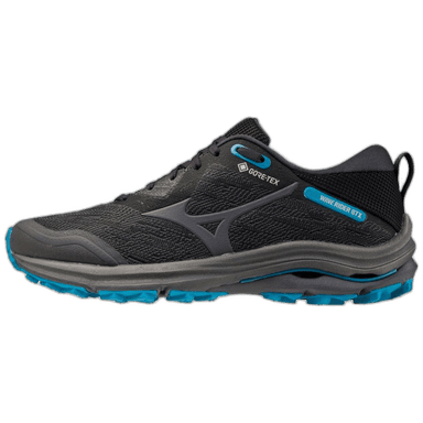 Mizuno Wave Rider GORE-TEX - black blue