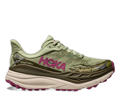 seed green beet root