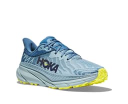 stone blue evening primrose