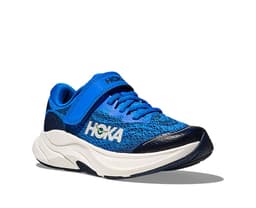 electric cobalt varsity navy