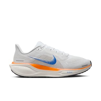 Nike Pegasus 41 Blueprint - multi-color
