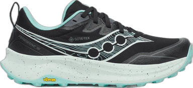 Saucony PEREGRINE 16 GORE-TEX - black aqua