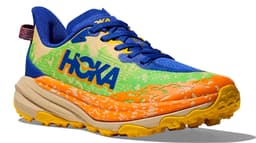 gks gull stormy skies