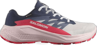 Salomon Alphaglide GORE-TEX - lunar rock blue nights rou