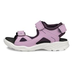 lavender mist night shade