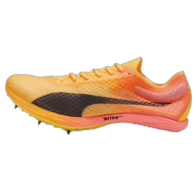 Puma evoSPEED Distance NITRO Elite+ 4 - sun stream-sunset glow-puma black