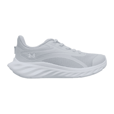 Under Armour Ascend - gray