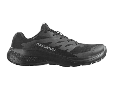 Salomon ALPHAGLIDE GORE-TEX - ukjent