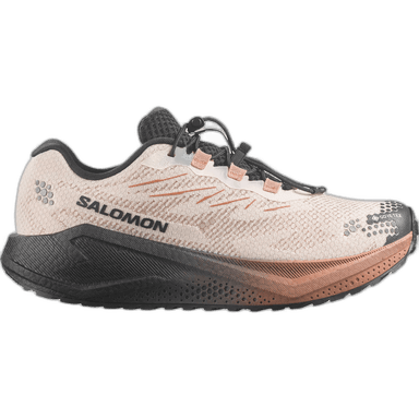 Salomon AERO BLAZE 4 GRVL GORE-TEX - beige black brown