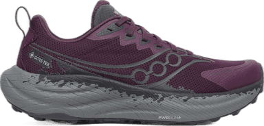 Saucony Ride TR3 GORE-TEX - eggplant ebony