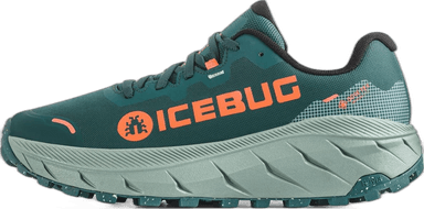 Icebug Arcus 2 RB9X Gore-Tex - seamoss coral