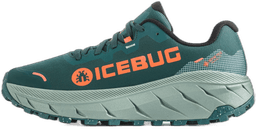 seamoss coral