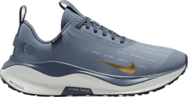 Nike InfinityRN 4 GORE-TEX - ashen slate metallic gold diffused blue