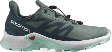 Salomon SUPERCROSS 3 GORE-TEX - duck green white patina green