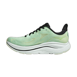 mint fluorite luna moth