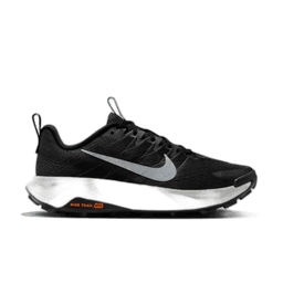 black wolf grey-anthracite-platinum tint