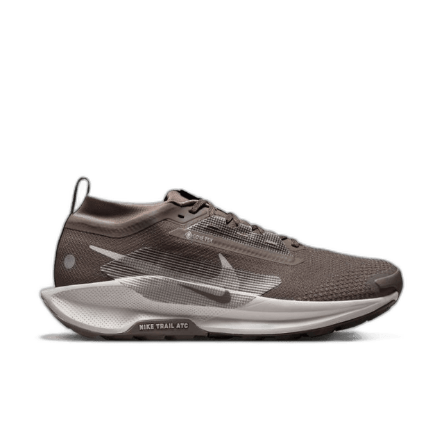 Nike Pegasus Trail 5 Gore-Tex