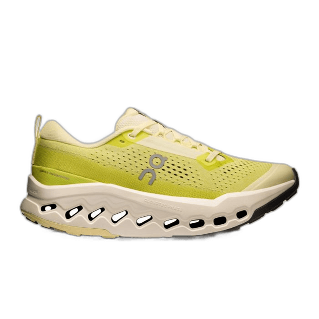 On Cloudsurfer Trail 2