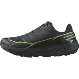 black green gecko black