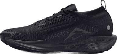 Nike Pegasus Trail 5 Gore-Tex - black black-anthracite