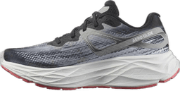 bay white willowherb