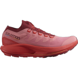 tea rose biking red blazing orange