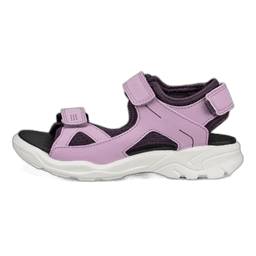 lavender mist night shade