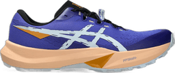 cobalt burst cool grey