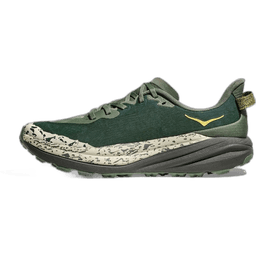 fern asphalt grey (2)