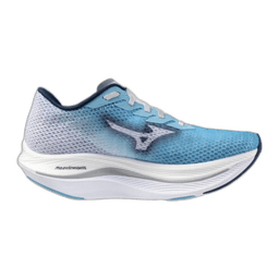 river blue blue wing teal white