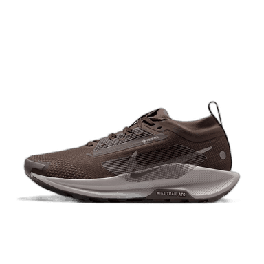 Nike Pegasus Trail 5 Gore-Tex - brown gray